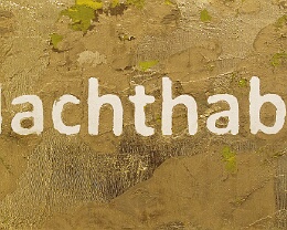 Machthaber Wer die Macht hat, hat das Sagen und die Strippen in der Hand! Jesus ist da ganz anders. Er ist Gott und war Mensch zugleich. Gekommen ist er, um zu retten was...