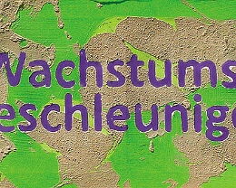 Wachstumsbeschleuniger Soll mein Leben Fahrt aufnehmen, ist es nötig zu wissen woher mir Hilfe kommt. Nur so kann mein Leben das Rennen machen, wofür es geschaffen und auch bestimmt...